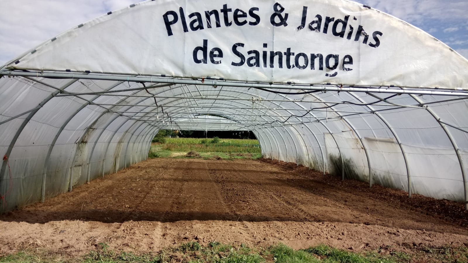 Serre tunnel préparée pour la production de plants