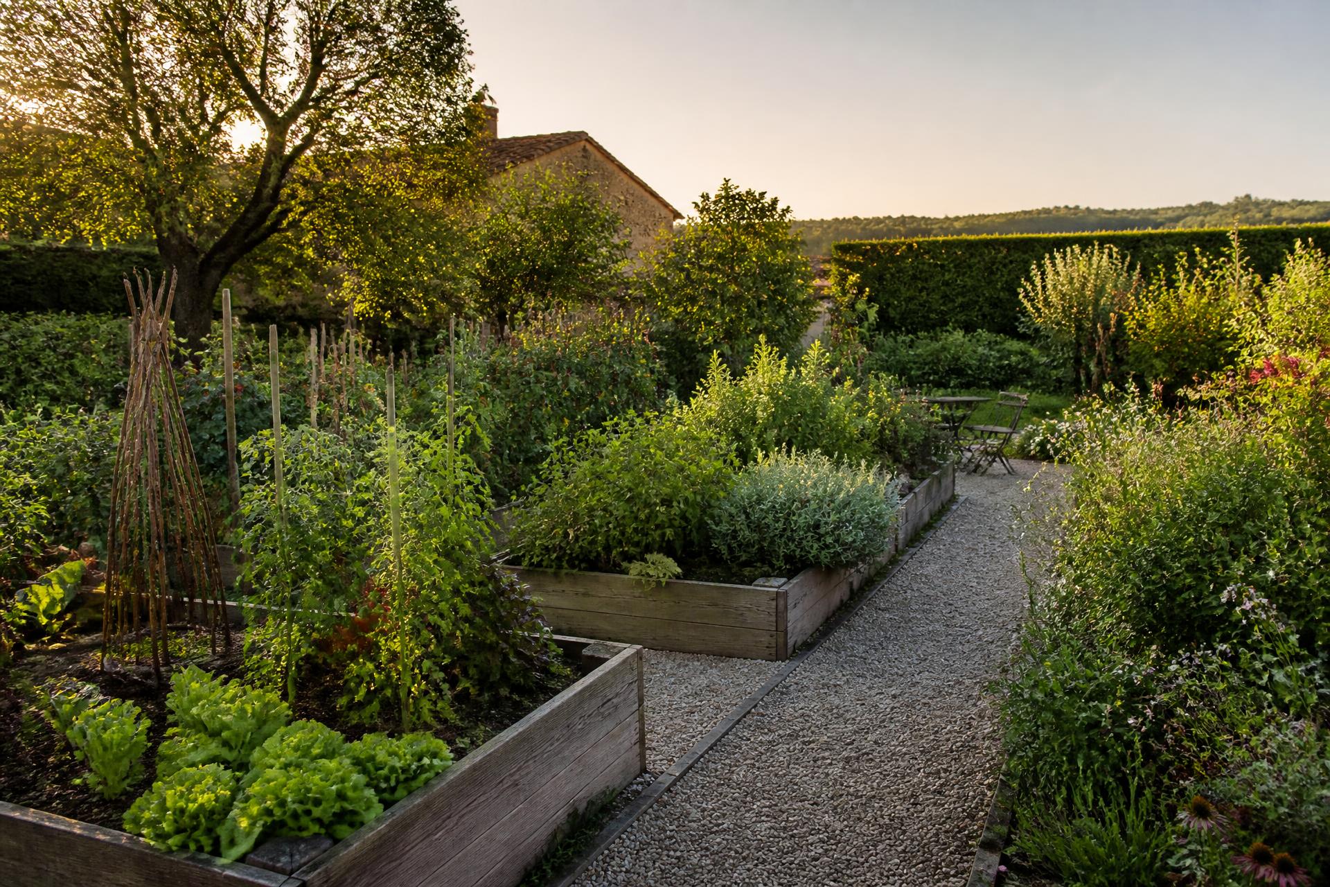 Potager en carrés surélevés et allée de gravier au coucher du soleil
